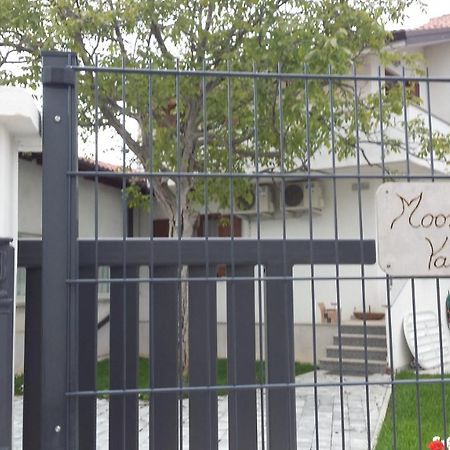 Moonflower Pliskovica Exterior foto
